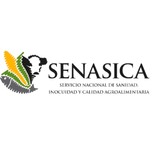 Inocuidad alimentaria<small>(Buenas pr&aacute;cticas agr&iacute;colas  y Buenas pr&aacute;cticas de manejo)</small>